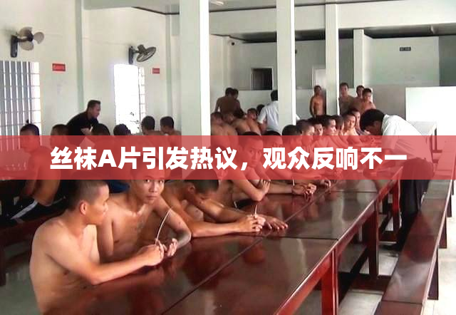 丝袜A片引发热议，观众反响不一
