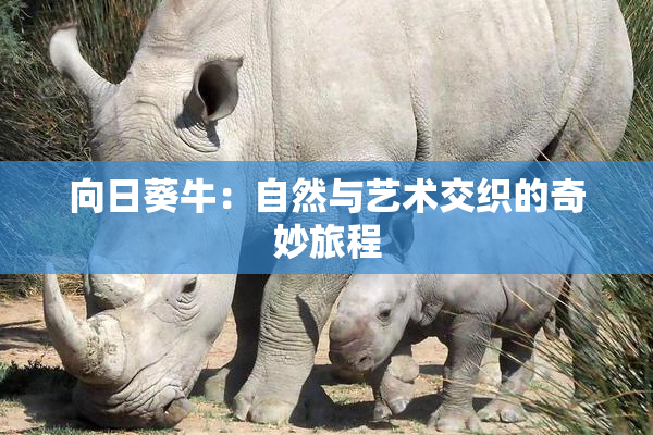 向日葵牛：自然与艺术交织的奇妙旅程