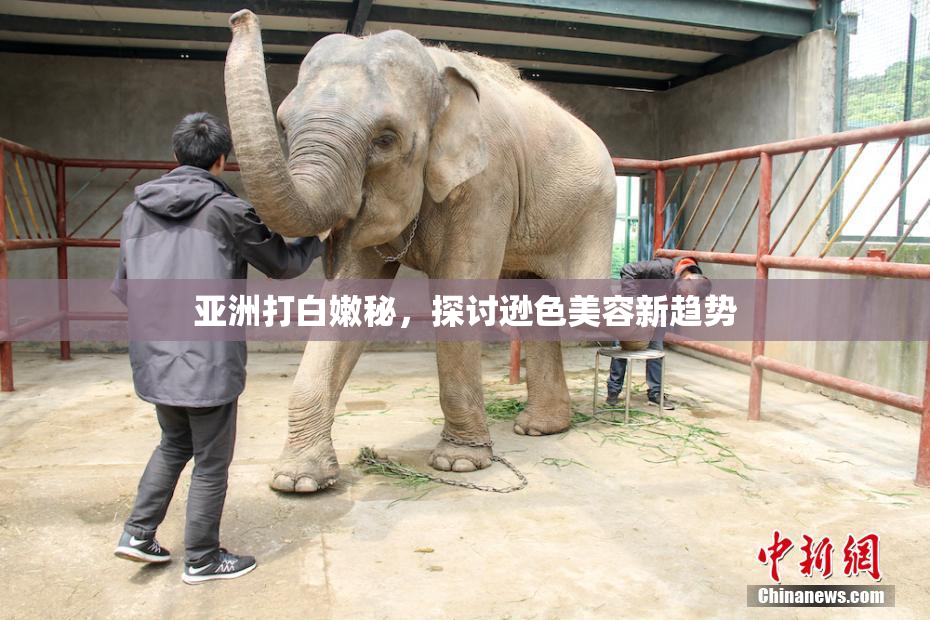 亚洲打白嫩秘，探讨逊色美容新趋势