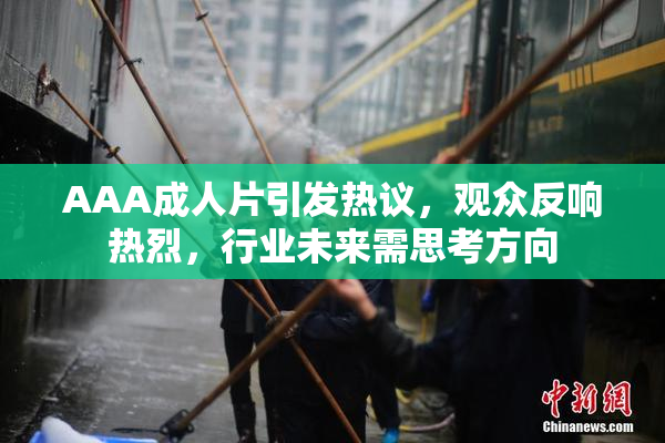 AAA成人片引发热议，观众反响热烈，行业未来需思考方向