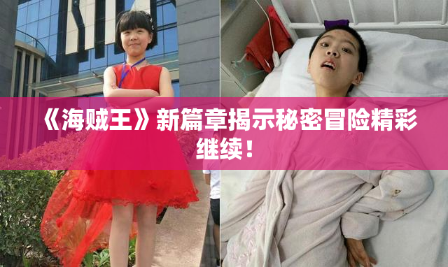 《海贼王》新篇章揭示秘密冒险精彩继续！