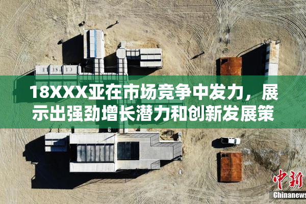 18XXX亚在市场竞争中发力，展示出强劲增长潜力和创新发展策略。