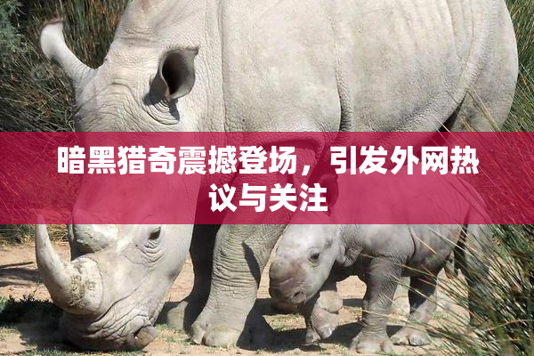 暗黑猎奇震撼登场，引发外网热议与关注