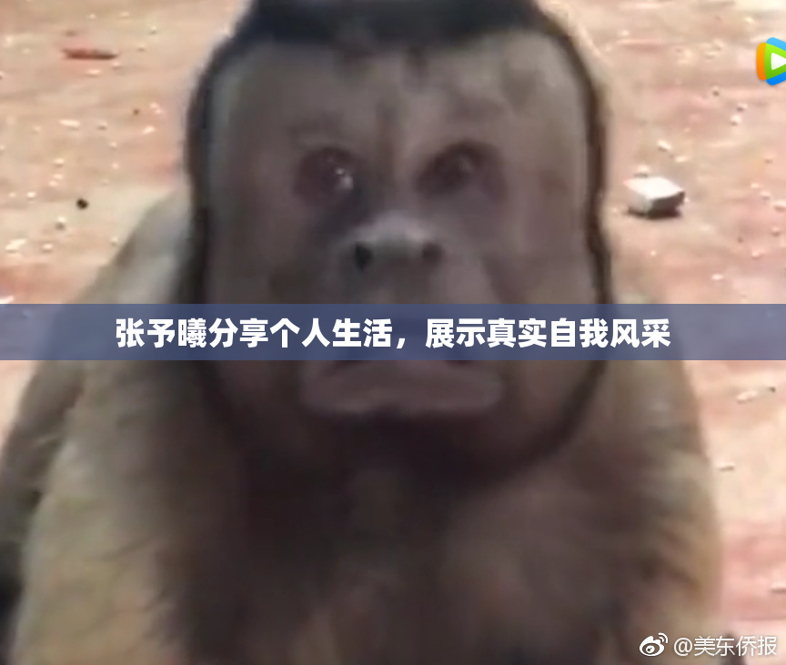 张予曦分享个人生活，展示真实自我风采