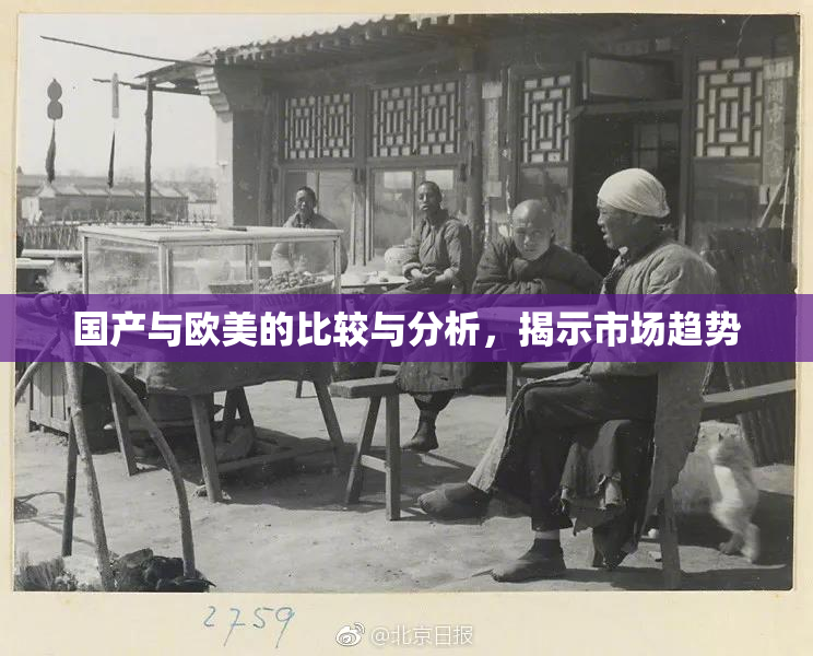 国产与欧美的比较与分析，揭示市场趋势