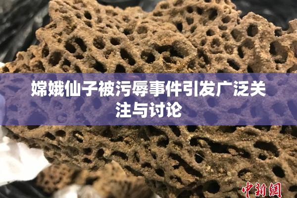 嫦娥仙子被污辱事件引发广泛关注与讨论