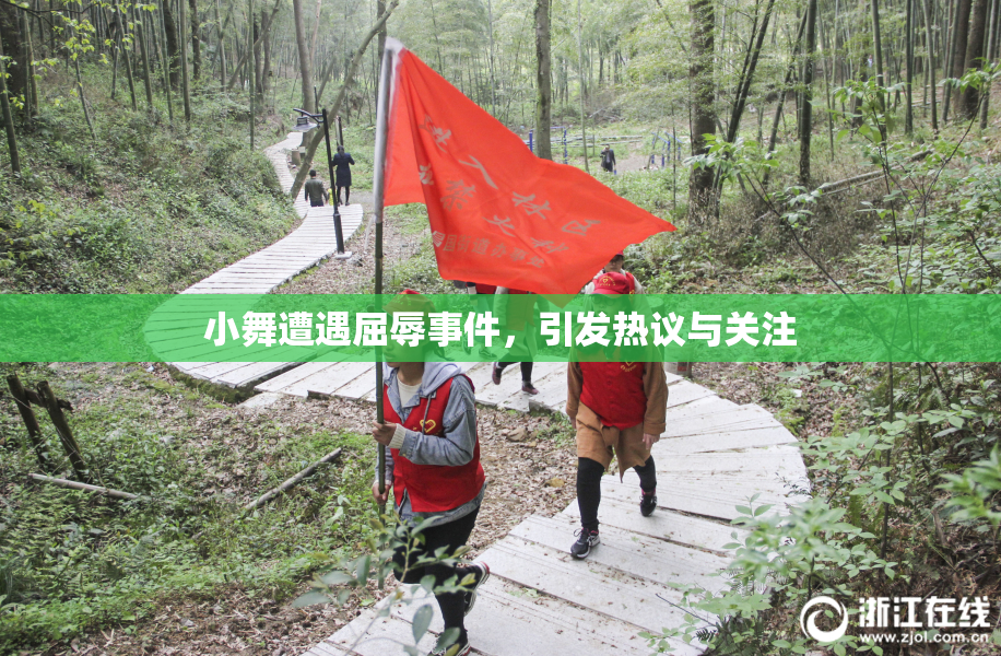 小舞遭遇屈辱事件，引发热议与关注