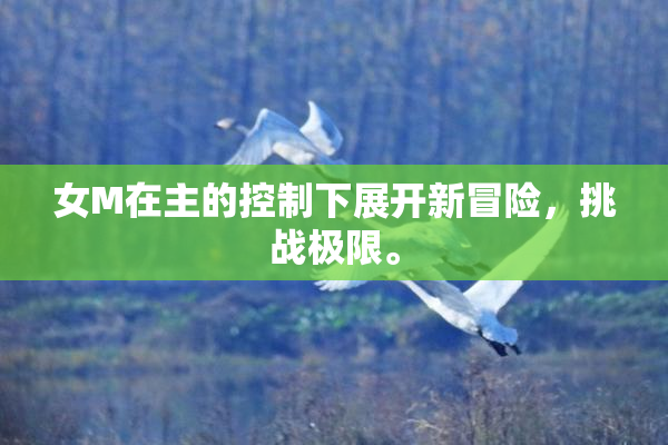女M在主的控制下展开新冒险，挑战极限。