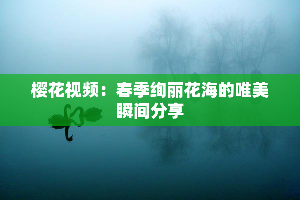 樱花视频：春季绚丽花海的唯美瞬间分享
