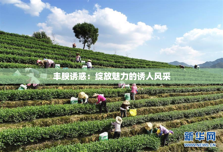 丰腴诱惑：绽放魅力的诱人风采