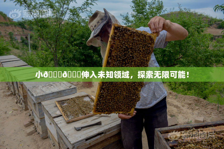 小🐔🐔伸入未知领域，探索无限可能！