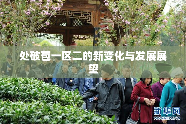 处破苞一区二的新变化与发展展望