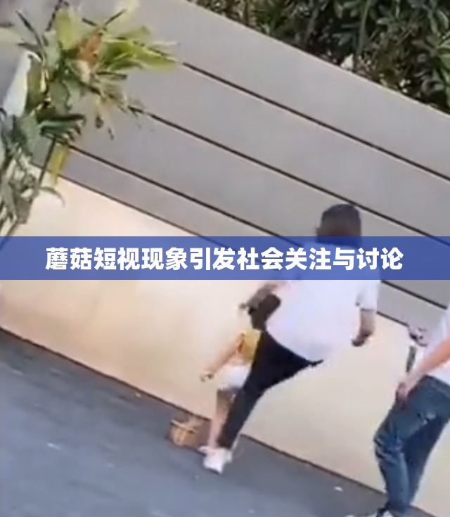 蘑菇短视现象引发社会关注与讨论