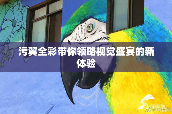 污翼全彩带你领略视觉盛宴的新体验