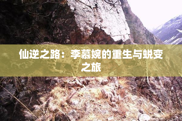 仙逆之路：李慕婉的重生与蜕变之旅
