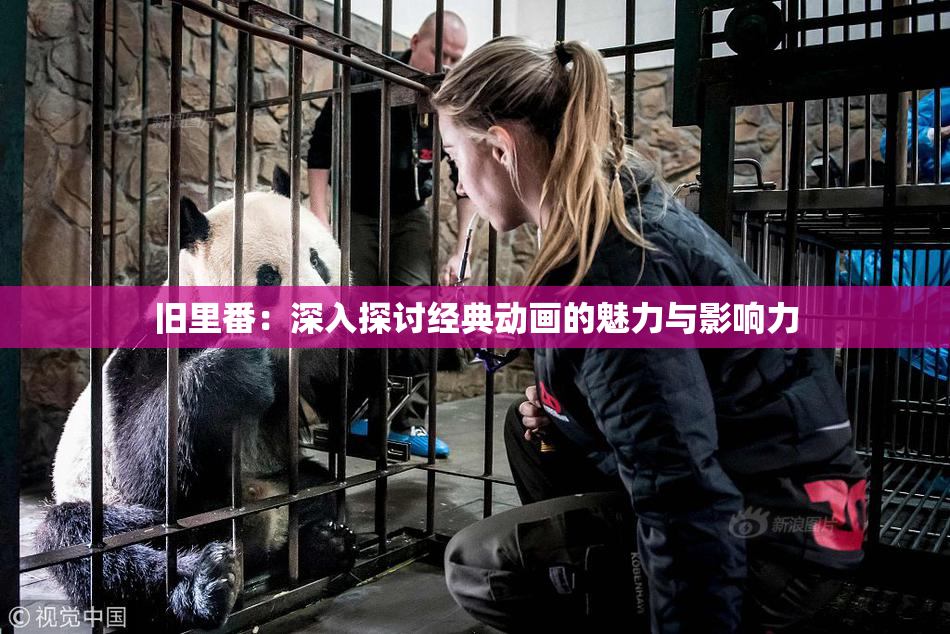 旧里番：深入探讨经典动画的魅力与影响力