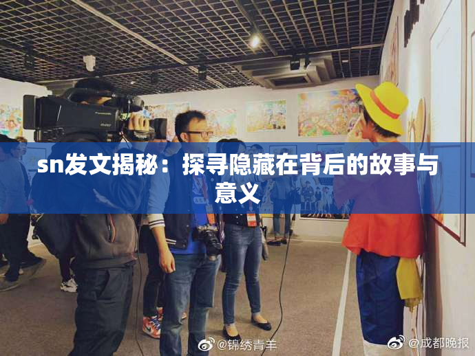 sn发文揭秘：探寻隐藏在背后的故事与意义