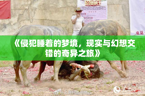 《侵犯睡着的梦境，现实与幻想交错的奇异之旅》