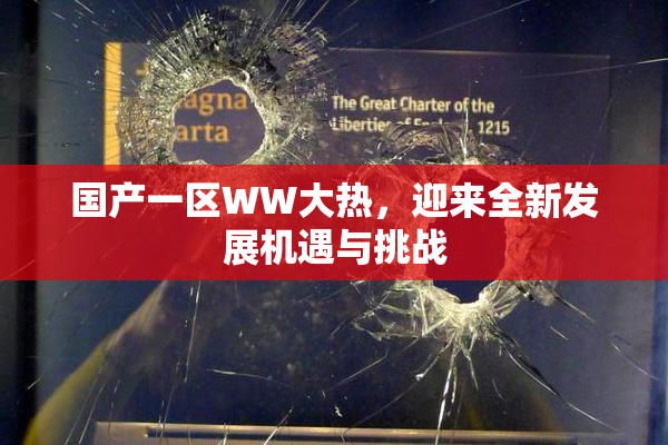 国产一区WW大热，迎来全新发展机遇与挑战