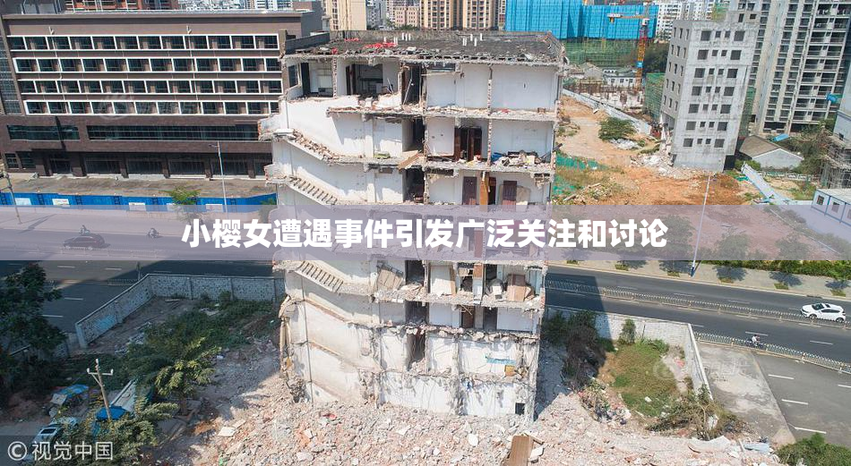 小樱女遭遇事件引发广泛关注和讨论