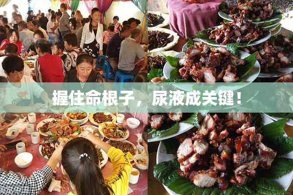 握住命根子，尿液成关键！