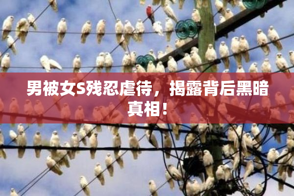 男被女S残忍虐待，揭露背后黑暗真相！