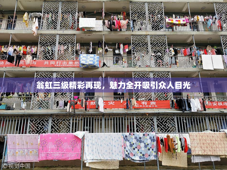 翁虹三级精彩再现，魅力全开吸引众人目光