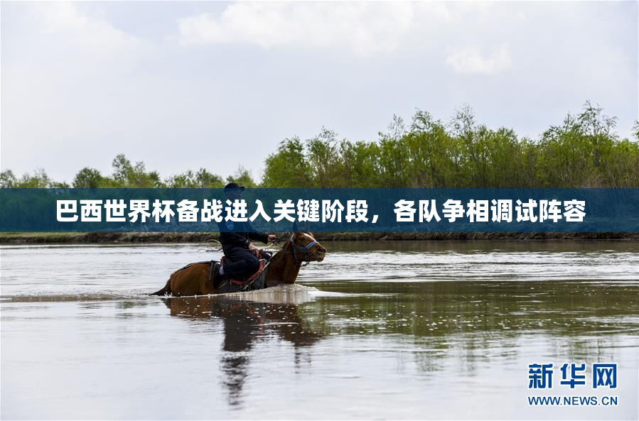 巴西世界杯备战进入关键阶段，各队争相调试阵容
