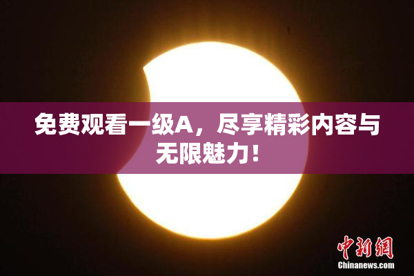 免费观看一级A，尽享精彩内容与无限魅力！