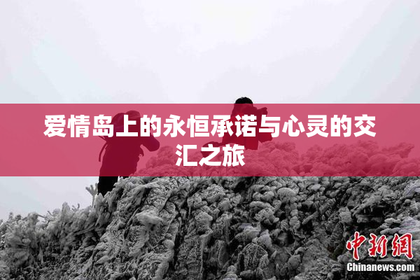 爱情岛上的永恒承诺与心灵的交汇之旅