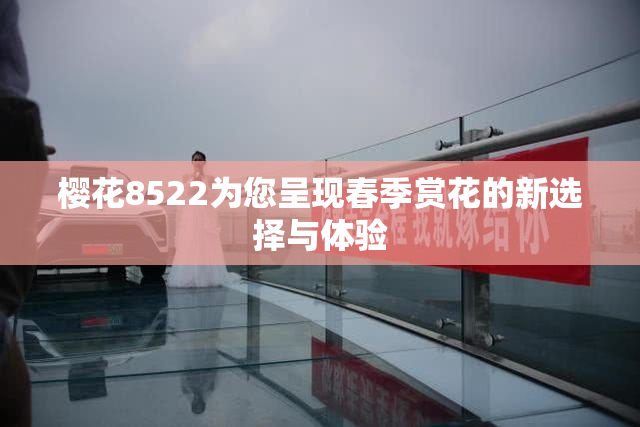 樱花8522为您呈现春季赏花的新选择与体验