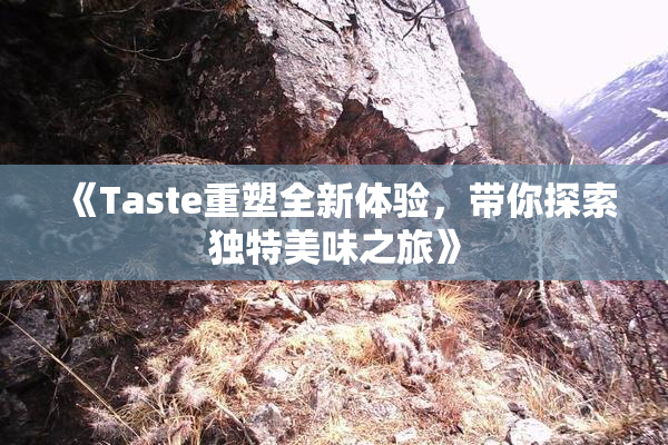 《Taste重塑全新体验，带你探索独特美味之旅》