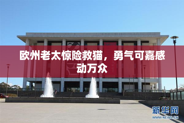 欧州老太惊险救猫，勇气可嘉感动万众
