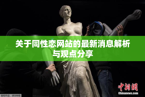 关于同性恋网站的最新消息解析与观点分享