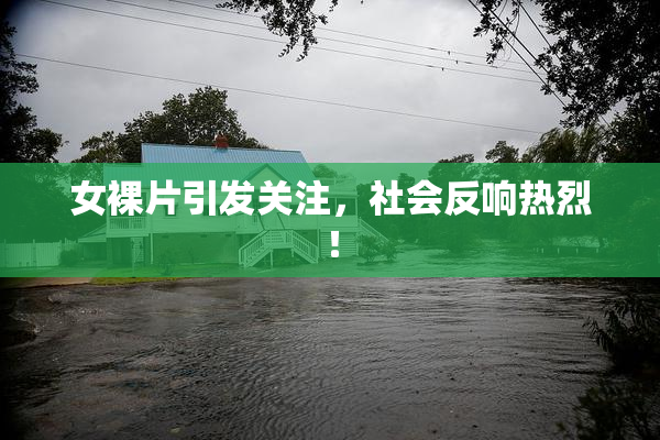 女裸片引发关注，社会反响热烈！