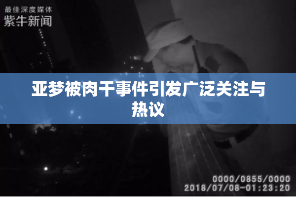 亚梦被肉干事件引发广泛关注与热议