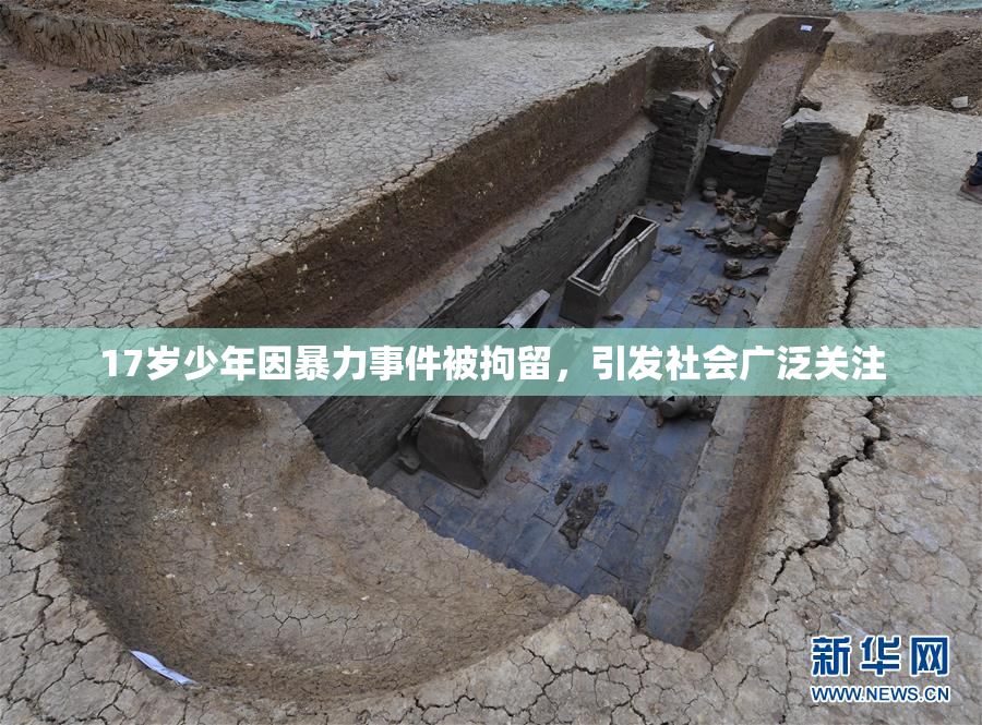 17岁少年因暴力事件被拘留，引发社会广泛关注