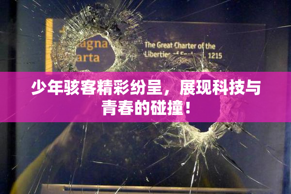 少年骇客精彩纷呈，展现科技与青春的碰撞！