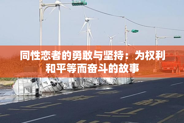 同性恋者的勇敢与坚持：为权利和平等而奋斗的故事