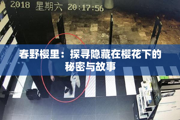 春野樱里：探寻隐藏在樱花下的秘密与故事