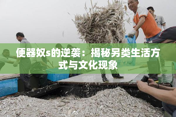 便器奴s的逆袭：揭秘另类生活方式与文化现象