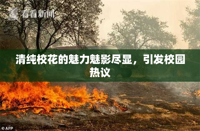 清纯校花的魅力魅影尽显，引发校园热议