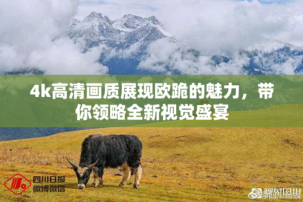 4k高清画质展现欧跪的魅力，带你领略全新视觉盛宴