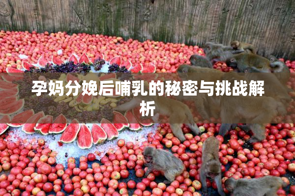 孕妈分娩后哺乳的秘密与挑战解析