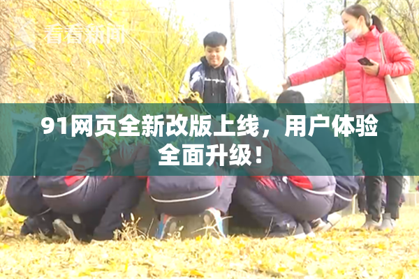 91网页全新改版上线，用户体验全面升级！