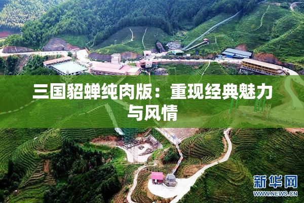 三国貂蝉纯肉版：重现经典魅力与风情