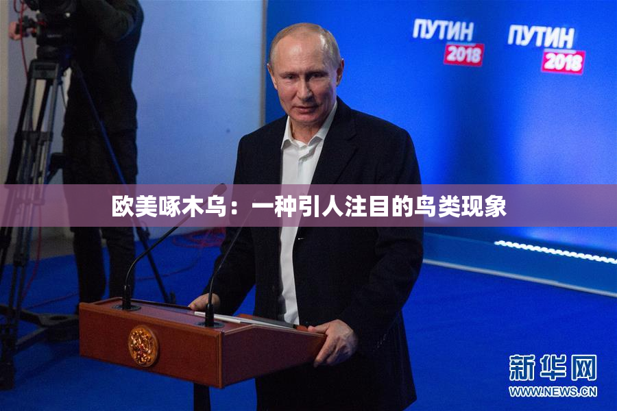 欧美啄木乌：一种引人注目的鸟类现象