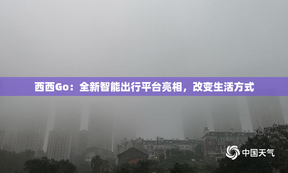 西西Go：全新智能出行平台亮相，改变生活方式