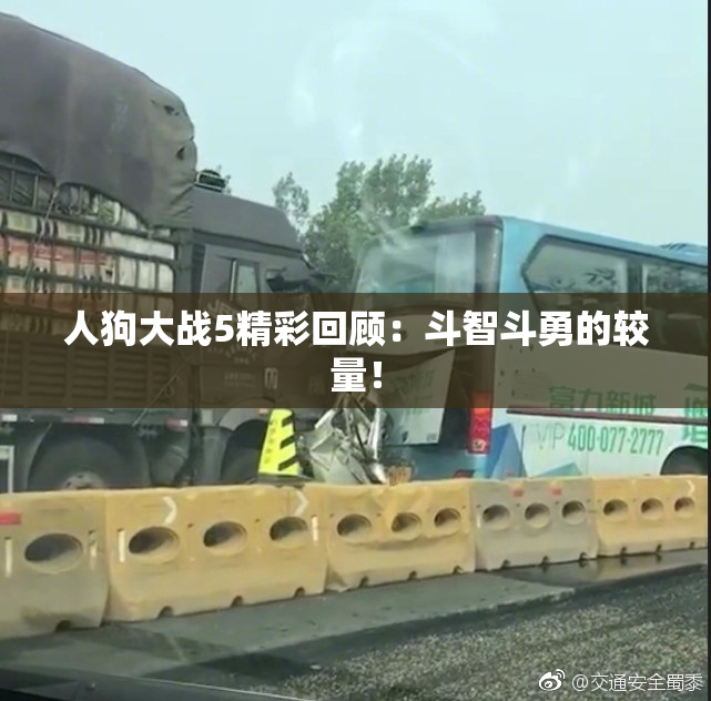 人狗大战5精彩回顾：斗智斗勇的较量！