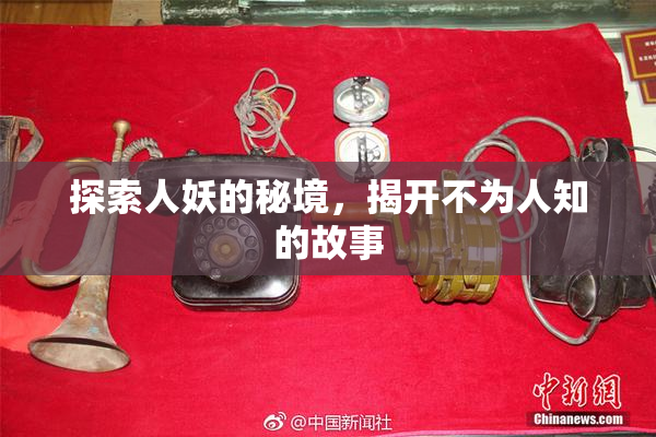 探索人妖的秘境，揭开不为人知的故事